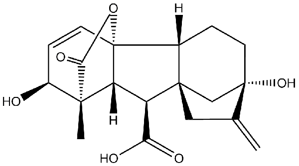 赤霉素GIBBERELLIC ACID，居然有這么神奇？